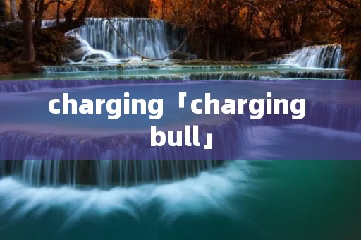 charging「charging bull」 charging「charging bull」