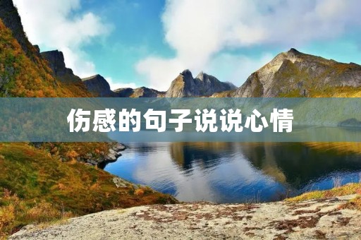 伤感的句子说说心情