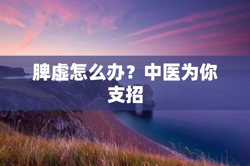 脾虚怎么办？中医为你支招