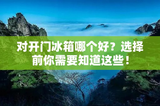 对开门冰箱哪个好？选择前你需要知道这些！
