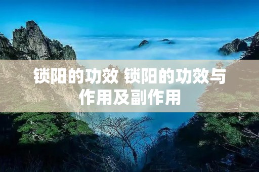 锁阳的功效 锁阳的功效与作用及副作用
