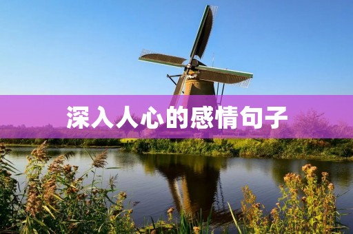 深入人心的感情句子