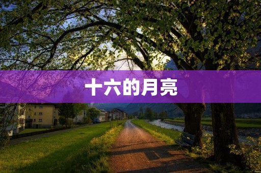 十六的月亮:经典句子集锦