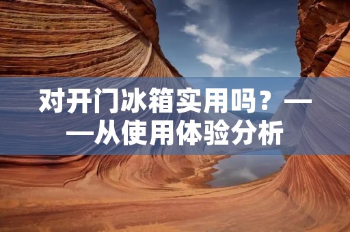 对开门冰箱实用吗?——从使用体验分析 对开门冰箱实用吗?——从使用体验分析