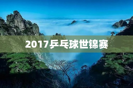 2017乒乓球世锦赛：中国队夺得多项冠军