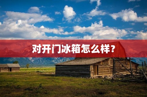 对开门冰箱怎么样? 对开门冰箱怎么样?