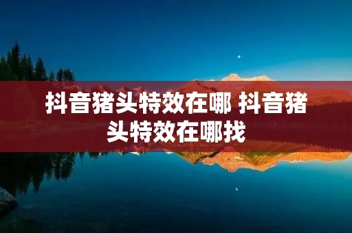 抖音猪头特效在哪 抖音猪头特效在哪找