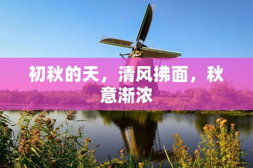 初秋的天,清风拂面,秋意渐浓 初秋的天,清风拂面,秋意渐浓