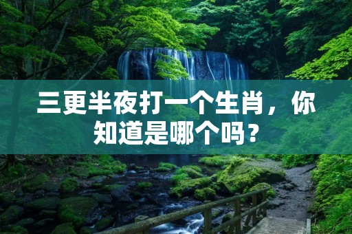 三更半夜打一个生肖,你知道是哪个吗?