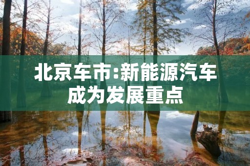北京车市:新能源汽车成为发展重点 北京车市:新能源汽车成为发展重点
