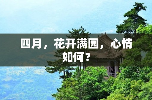 四月,花开满园,心情如何?