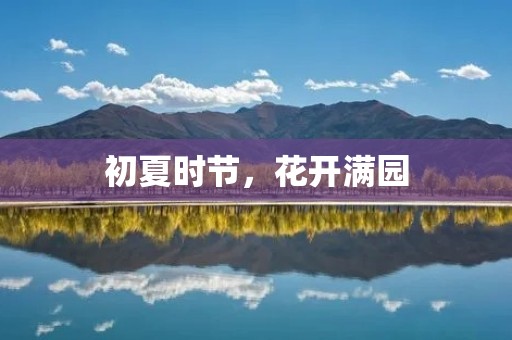 初夏时节，花开满园
