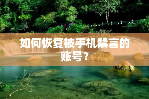 如何恢复被手机禁言的账号? 如何恢复被手机禁言的账号?