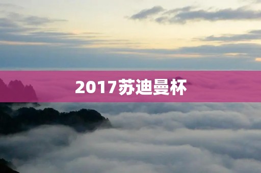 2017苏迪曼杯:中国队再次夺冠 2017苏迪曼杯:中国队再次夺冠