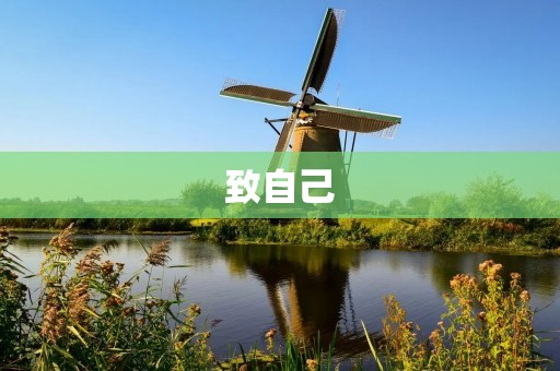 致自己:勇敢面对生活的每一次挑战 致自己:勇敢面对生活的每一次挑战