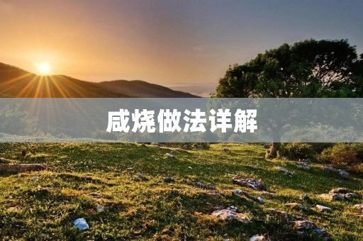 咸烧做法详解:教你制作美味的咸烧饼 咸烧做法详解:教你制作美味的咸烧饼