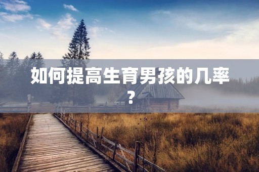 如何提高生育男孩的几率? 如何提高生育男孩的几率?