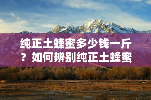 纯正土蜂蜜多少钱一斤?如何辨别纯正土蜂蜜?