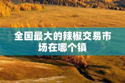 全国最大的辣椒交易市场在哪个镇