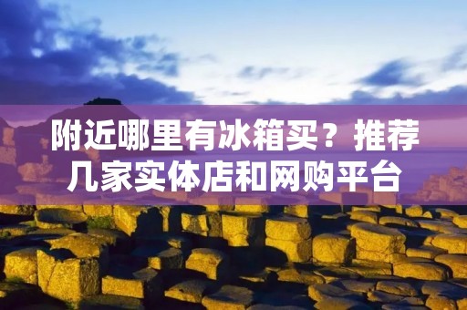 附近哪里有冰箱买？推荐几家实体店和网购平台