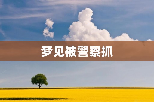 梦见被警察抓:解析梦境中的警察与抓捕