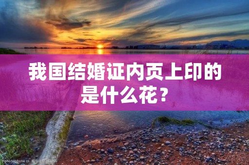 我国结婚证内页上印的是什么花?