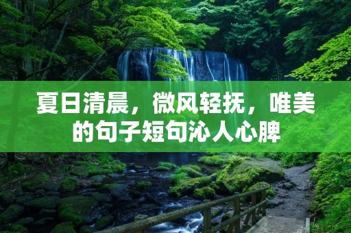 夏日清晨,微风轻抚,唯美的句子短句沁人心脾
