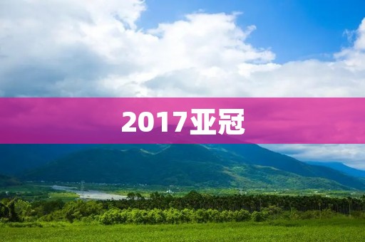 2017亚冠:上港晋级16强,中国足球再创历史 2017亚冠:上港晋级16强,中国足球再创历史
