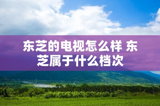 东芝的电视怎么样 东芝属于什么档次