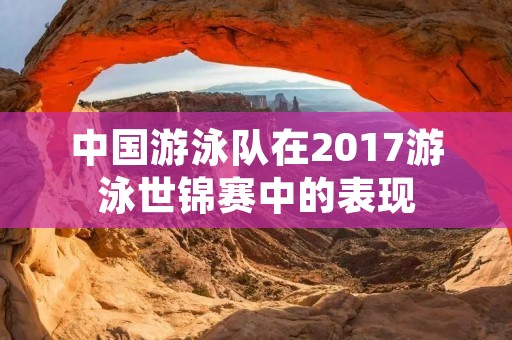 中国游泳队在2017游泳世锦赛中的表现