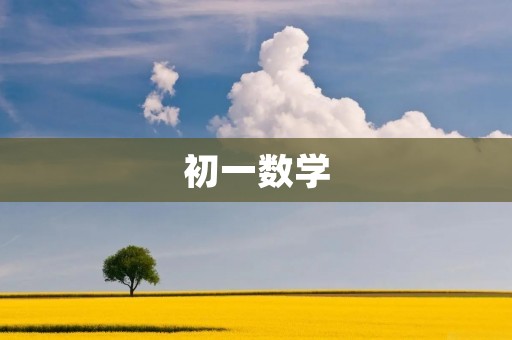 初一数学：如何打好基础