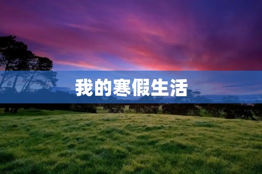 我的寒假生活