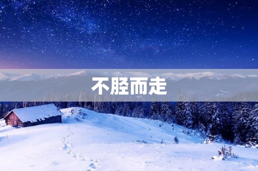 不胫而走:探索机器人技术的新纪元 不胫而走:探索机器人技术的新纪元