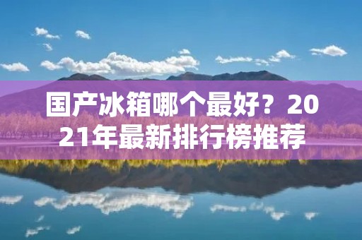 国产冰箱哪个最好？2021年最新排行榜推荐