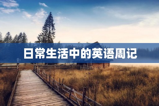 日常生活中的英语周记
