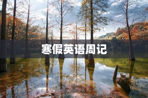 寒假英语周记
