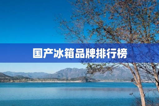 国产冰箱品牌排行榜