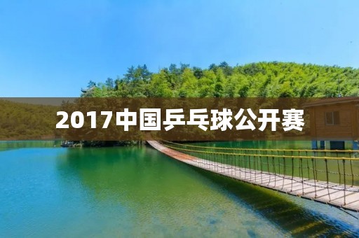 2017中国乒乓球公开赛：为国乒备战助力