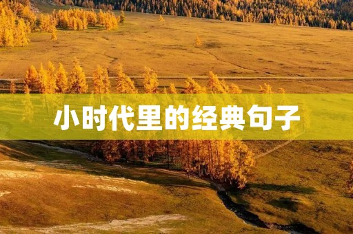 小时代里的经典句子