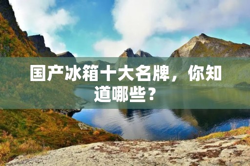 国产冰箱十大名牌，你知道哪些？