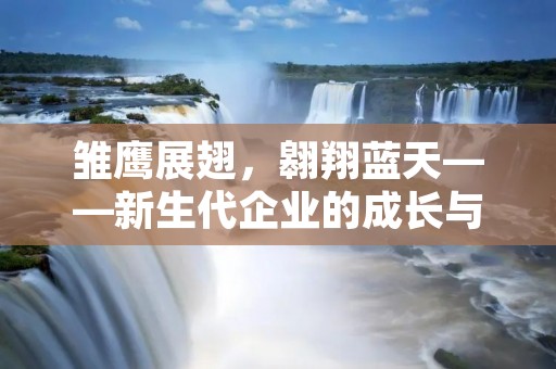 雏鹰展翅，翱翔蓝天——新生代企业的成长与发展