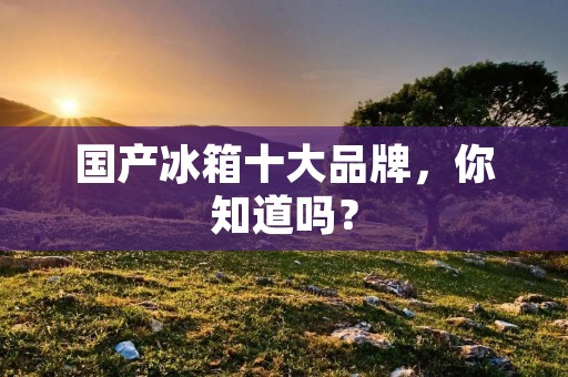 国产冰箱十大品牌，你知道吗？