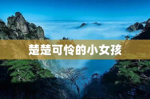 楚楚可怜的小女孩 楚楚可怜的小女孩