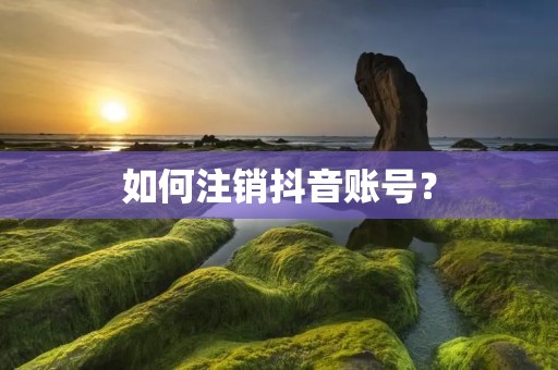 如何注销抖音账号? 如何注销抖音账号?