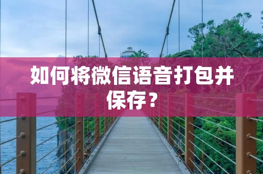如何将微信语音打包并保存? 如何将微信语音打包并保存?