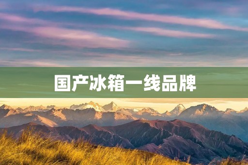 国产冰箱一线品牌：海尔冰箱