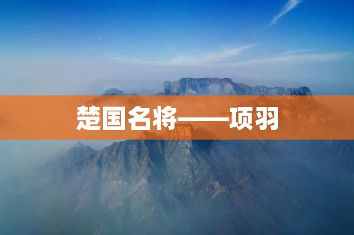 楚国名将——项羽