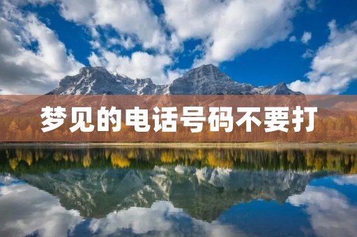 梦见的电话号码不要打
