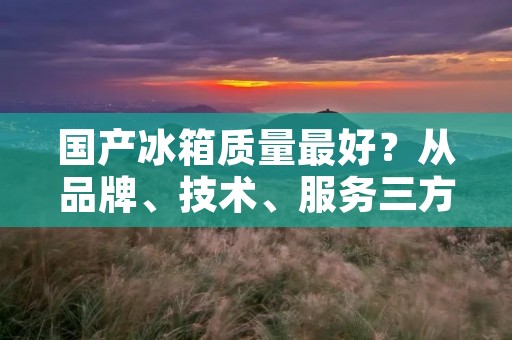 国产冰箱质量最好？从品牌、技术、服务三方面分析