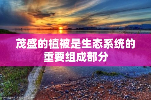 茂盛的植被是生态系统的重要组成部分
